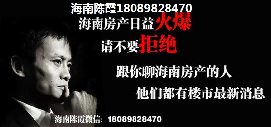 保利品悦2室1厅1厨1卫建面35.00㎡