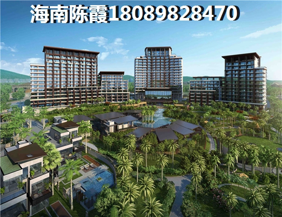 碧桂园总部新翼智谷交通图