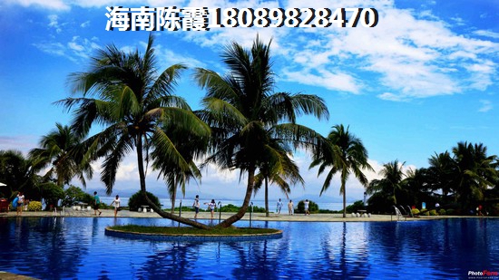 美的桂畔君兰实景图
